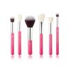 Jessup Beauty - 6 pcs Brush Set - T204: Rose Carmin/Silver