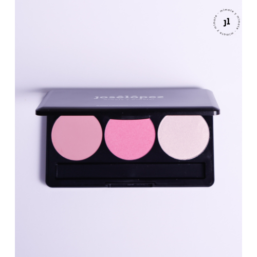 José López - Face palette - Cold Palette