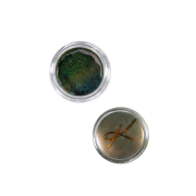 Karla Cosmetics - Duochrome loose pigments - Story Time