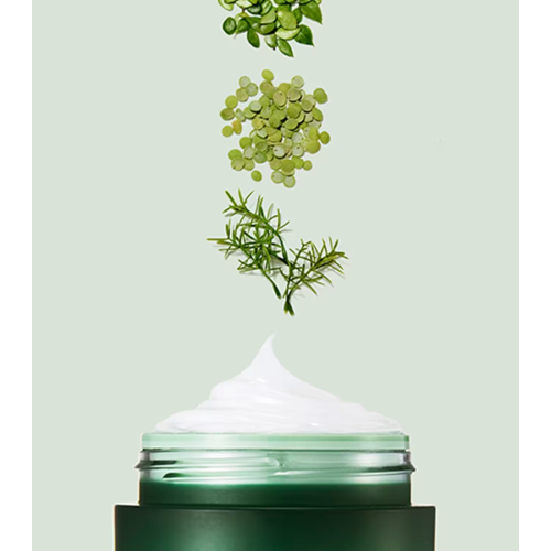 Laneige - CICA Sleeping Mask