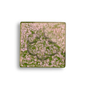 Lethal Cosmetics - Multichrome eyeshadow in a pan Magnetic™ - Protoplanet