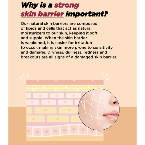 ma:nyo - *Bifida Biome* - Anti-aging repair serum Complex Ampoule