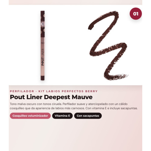 Makeup Revolution - Lip Liner Set Pout Liner - Deepest Mauve + Satin Lipstick Lip Allure - Material Girl Wine + Lip Oil Stick Jelly - Watermelon Crush Red