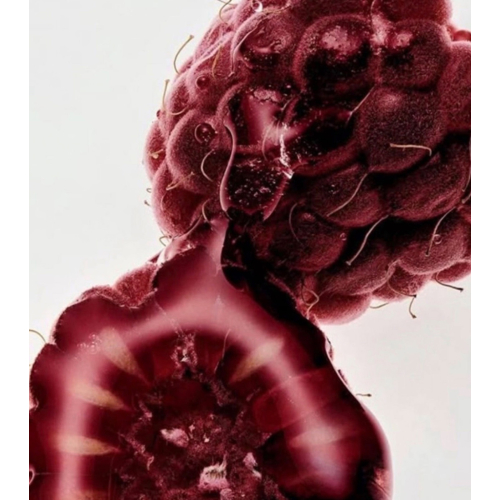 Maria Orbai - Lip gloss Glossy Lip Butter - Açai Berry