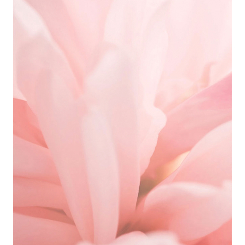 Maria Orbai - Blush in balm Tinted Cheek Balm - Blushed