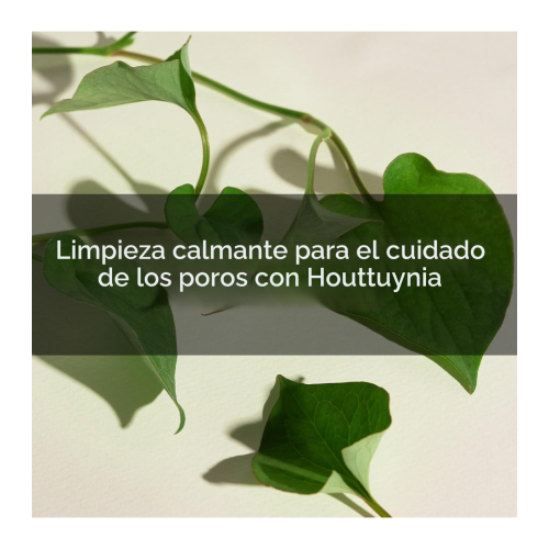 Mary & May - Purifying Foam Facial Cleanser Houttuynia Cordata + Tea Tree