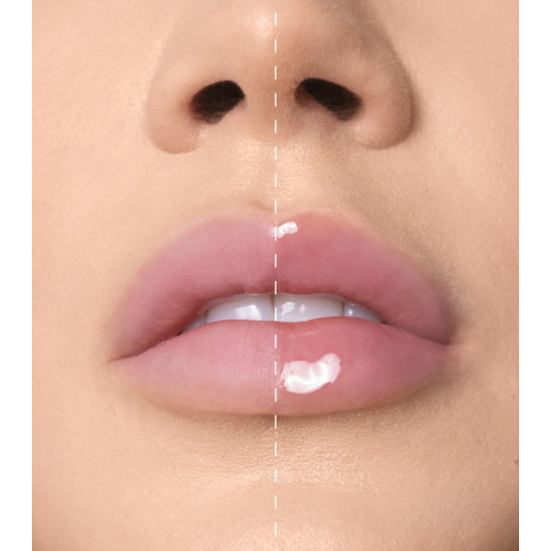 Mesauda - Lip Oil Lipoilogy - 102: Pink Elixir