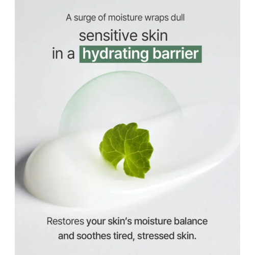 Mixsoon - *Cica Hyal* - Moisturizing facial cream Deep Shooting