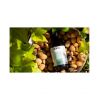 Naturcos - Pure sweet almond oil 250ml
