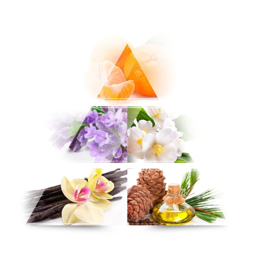 ONE AVENUE - Eau de parfum - Goldie