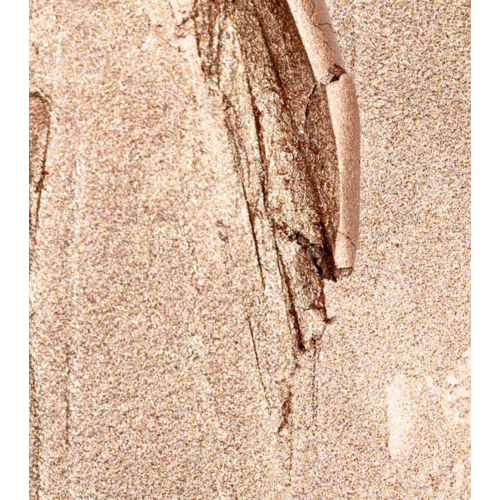 Palladio - Eyeshadow Stick - 02: Champagne Shimmer