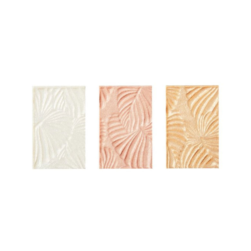 Planet Revolution - Face Palette - Rainforest