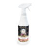Prady - Home spray air freshener 700ml - Spa Ritual