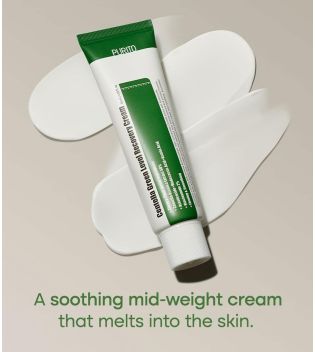 Purito - Facial cream Centella Green Level Recovery