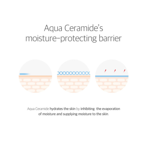 Round Lab - 365 Soothing Sunscreen Derma Relief SPF 50+ PA++++