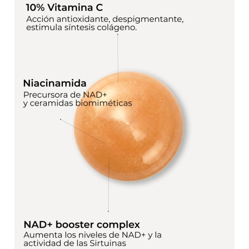 SEGLE - Antioxidant facial serum Antiox NAD+