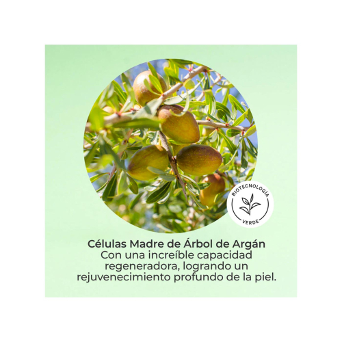 SEGLE - Facial Serum Cellular Plus