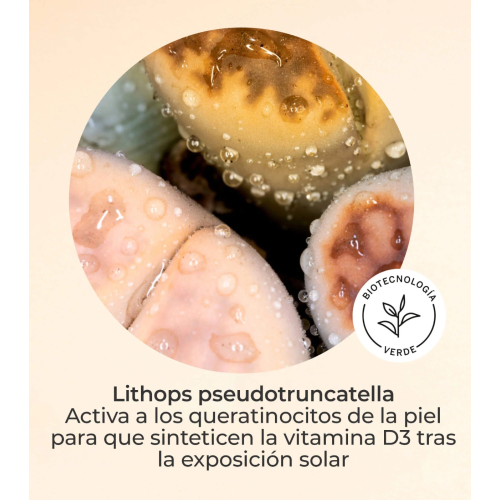 SEGLE - Vitamin D Facial Serum Urban SPF30