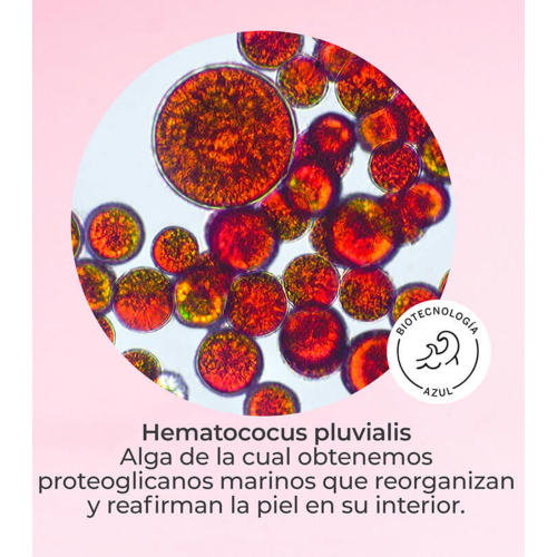 SEGLE - Facial serum effect flash lifting DMAE LIFT 10