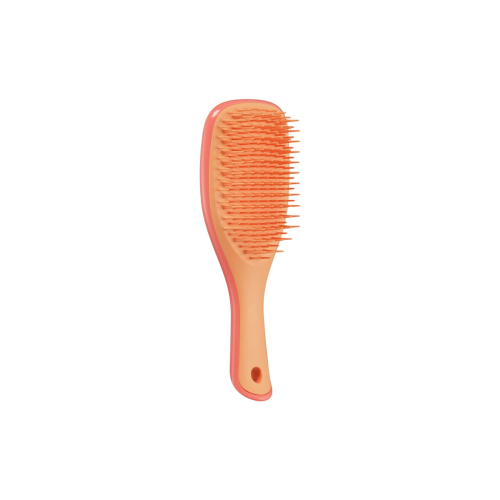 Tangle Teezer - Mini Hair Brush The Ultimate Detangler - Salmon Pink & Apricot