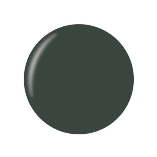 Technic Cosmetics - Matte Nail Polish - Amazonian