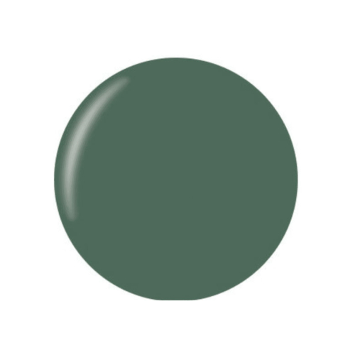 Technic Cosmetics - Matte Nail Polish - Green With Envy