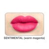 The Balm - Liquid lipstick Meet Matt(e) Hughes - Sentimental