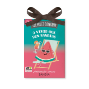 The Fruit Company - Wardrobe Freshener - Watermelon