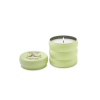 The Fruit Company - Scented Candle Patisseries - Pistachio Macaron