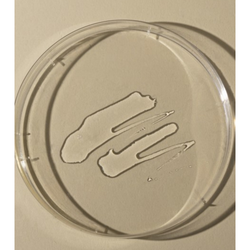 Toun 28 - Facial Toner Propolis Balance Toner