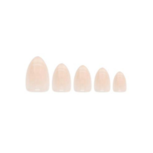W7 - False nails Glamorous Nails - Champagne Fizz