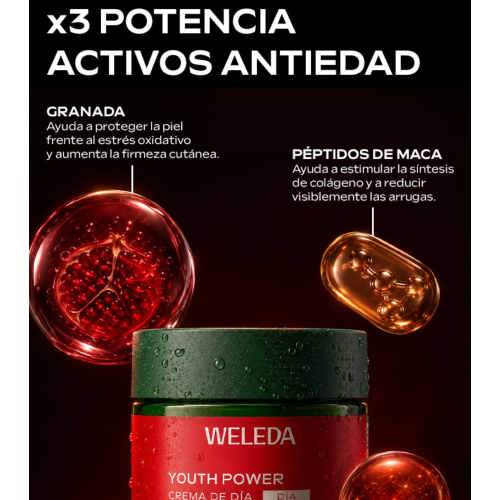 Weleda - *Lifting* - Firming night cream Youth Power