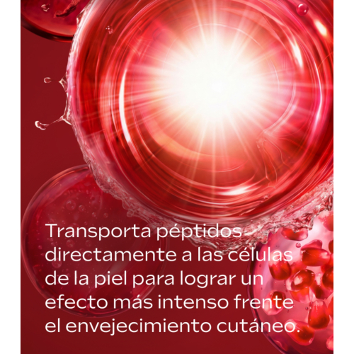 Weleda - *Lifting* - Facial serum EXO Boost Night Restoring Elixir