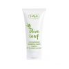 Ziaja - Olive Leaf concentrated Face Cream SPF20