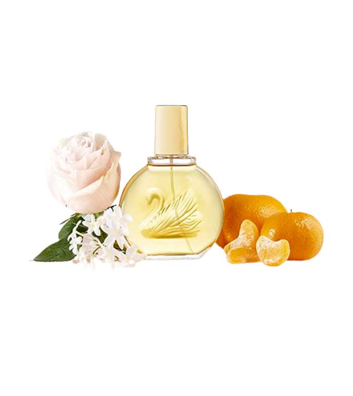 Parfum vanderbilt action deals